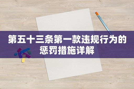 第五十三條第一款違規行為的懲罰措施詳解