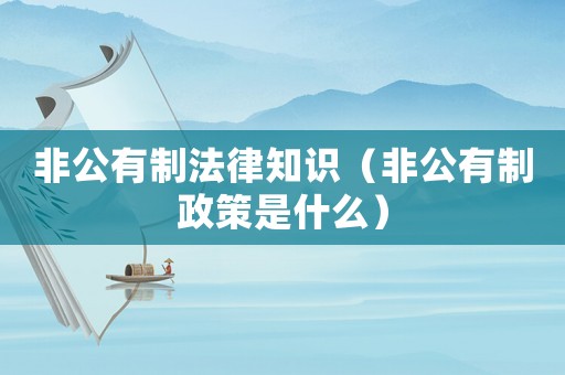 非公有制法律知識(shí)（非公有制政策是什么）