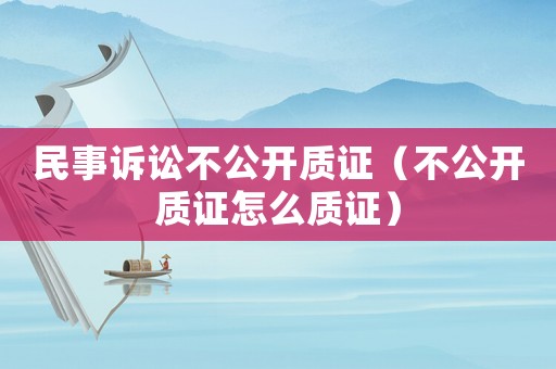 民事訴訟不公開質證（不公開質證怎么質證）