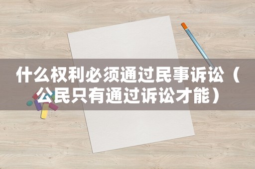 什么權利必須通過民事訴訟（公民只有通過訴訟才能）