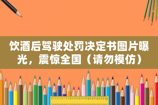 飲酒后駕駛處罰決定書圖片曝光，震驚全國（請勿模仿）