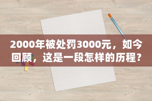 2000年被處罰3000元，如今回顧，這是一段怎樣的歷程？