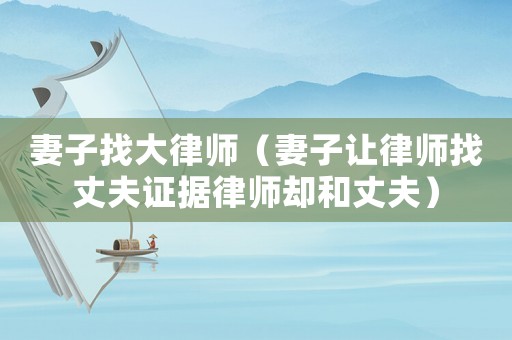 妻子找大律師（妻子讓律師找丈夫證據律師卻和丈夫）