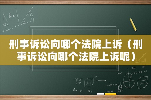 刑事訴訟向哪個法院上訴（刑事訴訟向哪個法院上訴呢）