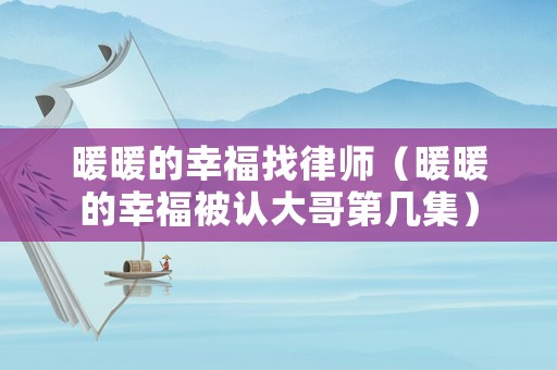 暖暖的幸福找律師（暖暖的幸福被認大哥第幾集）