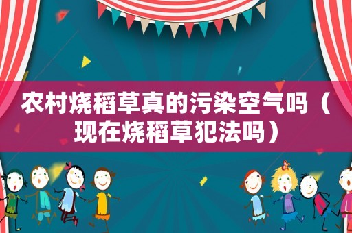 農(nóng)村燒稻草真的污染空氣嗎（現(xiàn)在燒稻草犯法嗎）
