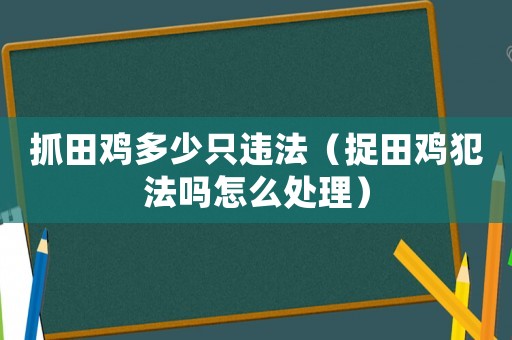 抓田雞多少只違法（捉田雞犯法嗎怎么處理）