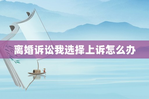 離婚訴訟我選擇上訴怎么辦