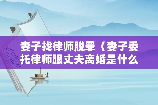 妻子找律師脫罪（妻子委托律師跟丈夫離婚是什么電影）