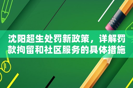 沈陽超生處罰新政策，詳解罰款拘留和社區服務的具體措施