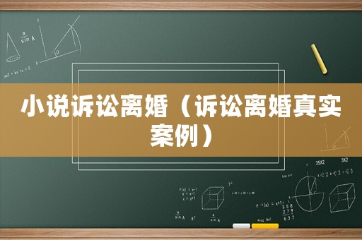 小說訴訟離婚（訴訟離婚真實案例）