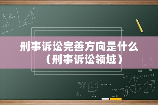 刑事訴訟完善方向是什么（刑事訴訟領域）