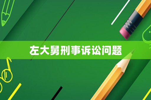 左大舅刑事訴訟問題