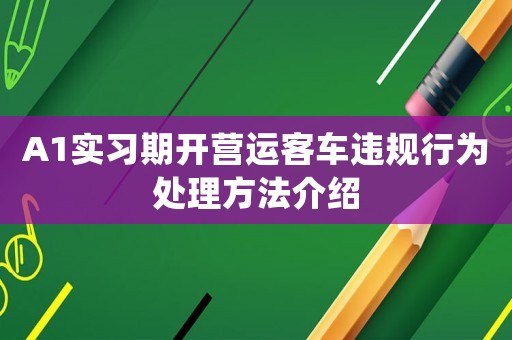 A1實習期開營運客車違規行為處理方法介紹