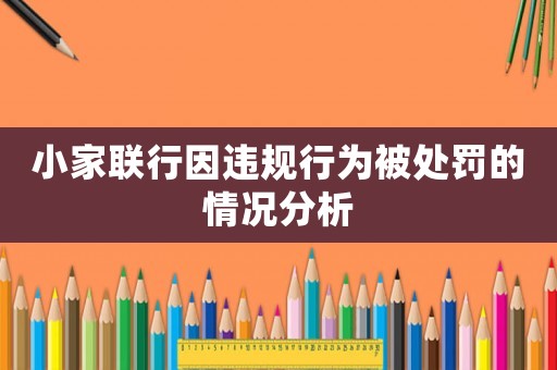 小家聯行因違規行為被處罰的情況分析