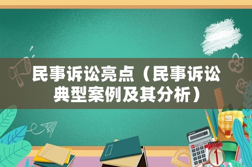 民事訴訟亮點（民事訴訟典型案例及其分析）