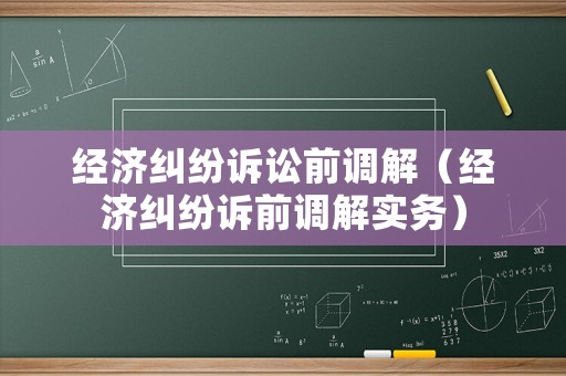 經(jīng)濟糾紛訴訟前調(diào)解（經(jīng)濟糾紛訴前調(diào)解實務(wù)）