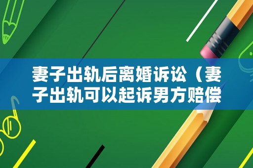 妻子出軌后離婚訴訟（妻子出軌可以起訴男方賠償嗎）