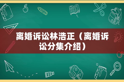 離婚訴訟林浩正（離婚訴訟分集介紹）