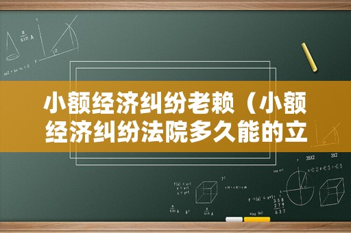 小額經濟糾紛老賴（小額經濟糾紛法院多久能的立案）