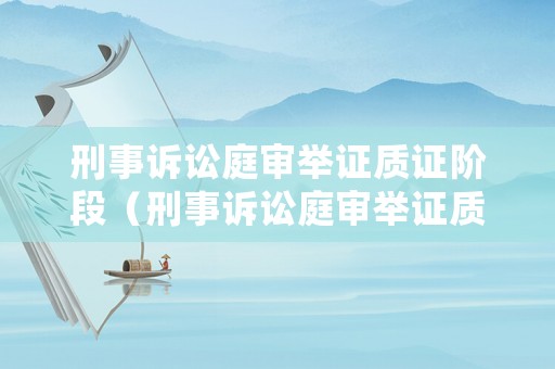 刑事訴訟庭審舉證質證階段（刑事訴訟庭審舉證質證階段是什么）