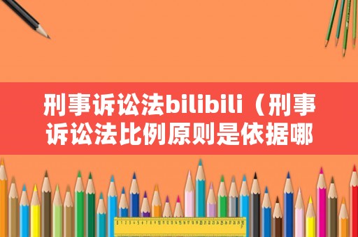 刑事訴訟法bilibili（刑事訴訟法比例原則是依據哪一條）