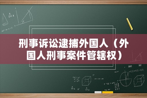 刑事訴訟逮捕外國人（外國人刑事案件管轄權(quán)）