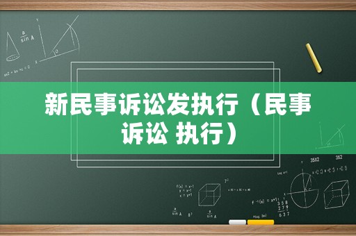 新民事訴訟發執行（民事訴訟 執行）