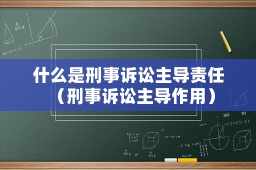 什么是刑事訴訟主導(dǎo)責(zé)任（刑事訴訟主導(dǎo)作用）