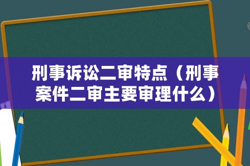 刑事訴訟二審特點（刑事案件二審主要審理什么）
