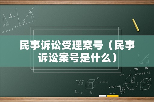 民事訴訟受理案號（民事訴訟案號是什么）