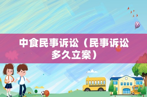 中食民事訴訟（民事訴訟多久立案）