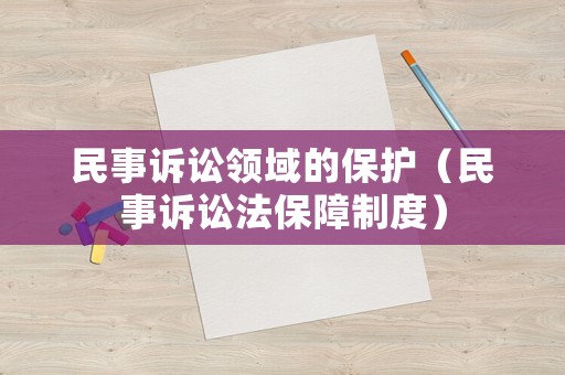 民事訴訟領域的保護（民事訴訟法保障制度）