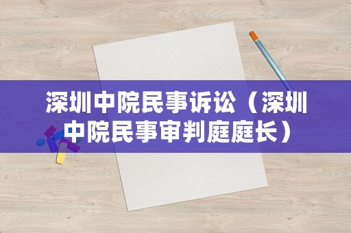 深圳中院民事訴訟（深圳中院民事審判庭庭長）