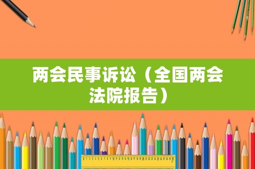 兩會民事訴訟（全國兩會法院報告）