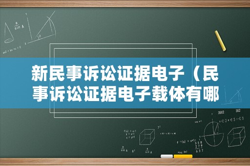 新民事訴訟證據電子（民事訴訟證據電子載體有哪些）