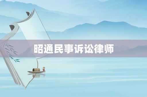 昭通民事訴訟律師