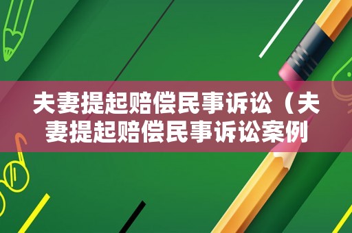 夫妻提起賠償民事訴訟（夫妻提起賠償民事訴訟案例）