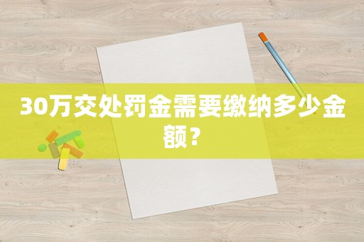 30萬交處罰金需要繳納多少金額？