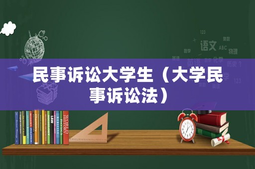 民事訴訟大學(xué)生（大學(xué)民事訴訟法）
