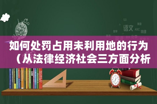 如何處罰占用未利用地的行為（從法律經(jīng)濟(jì)社會三方面分析解決方法）