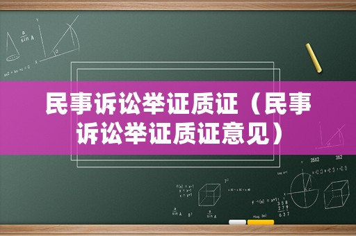 民事訴訟舉證質證（民事訴訟舉證質證意見）