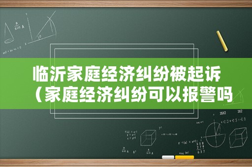臨沂家庭經濟糾紛被起訴（家庭經濟糾紛可以報警嗎）