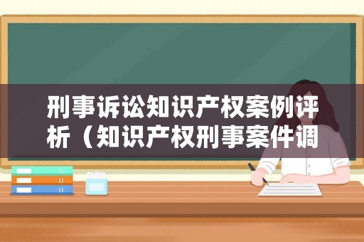 刑事訴訟知識產權案例評析（知識產權刑事案件調研報告）
