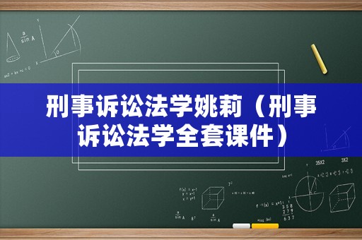 刑事訴訟法學(xué)姚莉（刑事訴訟法學(xué)全套課件）