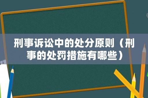刑事訴訟中的處分原則（刑事的處罰措施有哪些）