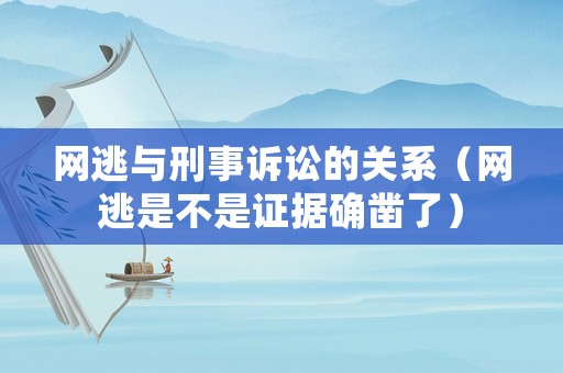 網逃與刑事訴訟的關系（網逃是不是證據確鑿了）