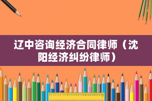 遼中咨詢經濟合同律師（沈陽經濟糾紛律師）