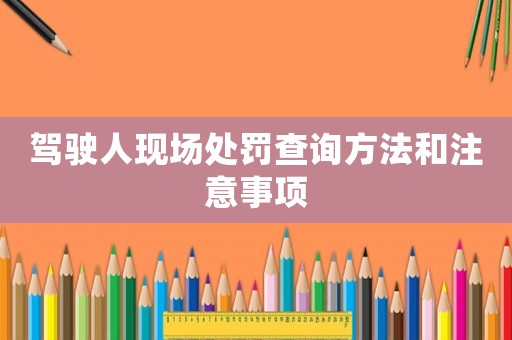 駕駛?cè)爽F(xiàn)場(chǎng)處罰查詢方法和注意事項(xiàng)