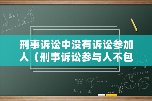 刑事訴訟中沒有訴訟參加人（刑事訴訟參與人不包括哪些）